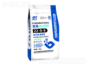 �ߵ��͏�(f��)�Ϸ���22-9-9-�{��-�е����r(n��ng)