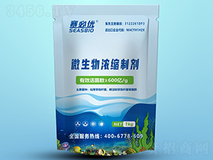 600�|΢�����s�Ƅ�-ِ�؃�(y��u)