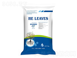 ���~΢������������-����ʩ