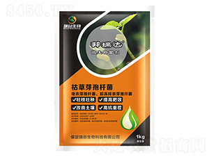 �ݲ�ѿ�ߗU��-�����_-�������