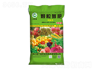 ��(j��ng)��������w������-��֥Դ-�Zǧ���r(n��ng)�I(y��)