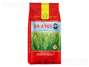 ��(gu��)��ԥ�r(n��ng)905С���N��-���N�I(y��) 