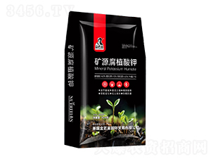 �VԴ��ֲ���-����