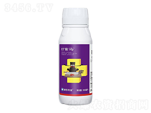 1%�׾S�}΢�鄩-���R-��̖С�tñ