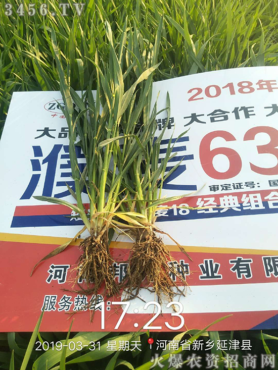 ���ϰ��N�I(y��)���޹�˾��������!